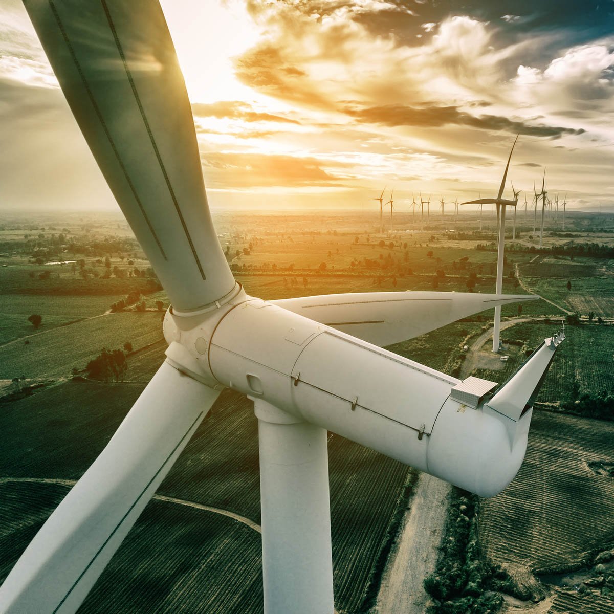 ESG & Sustainability 企業永續發展