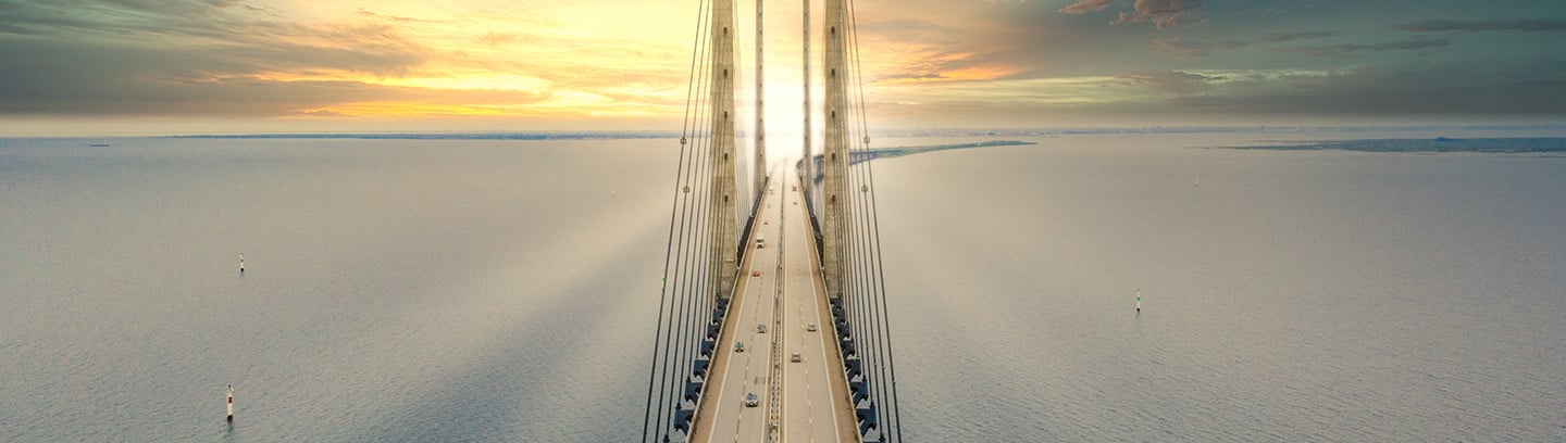 insight featured image