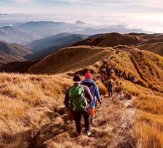 The rise of cross-border transaction