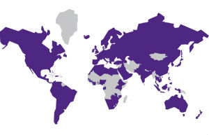 World map