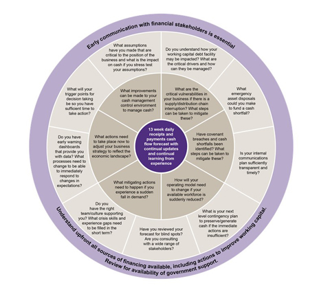The Resilience Wheel : focus on cash management