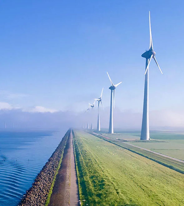 查看企業永續發展服務及正大其他永續發展相關服務